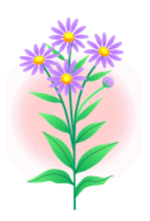 花のイラスト