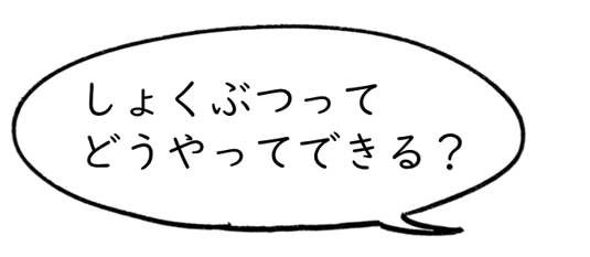 しょくぶつってどうやってできる？
