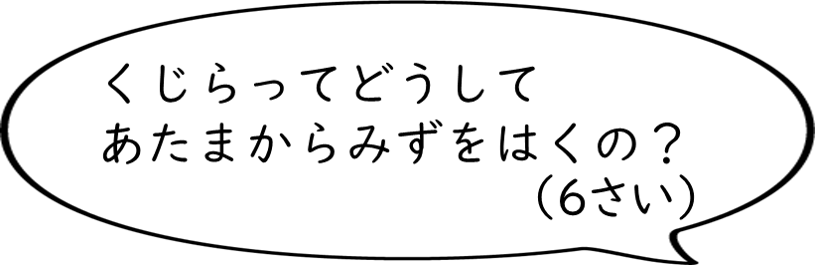くじらってどうしてあたまからみずをはくの？
