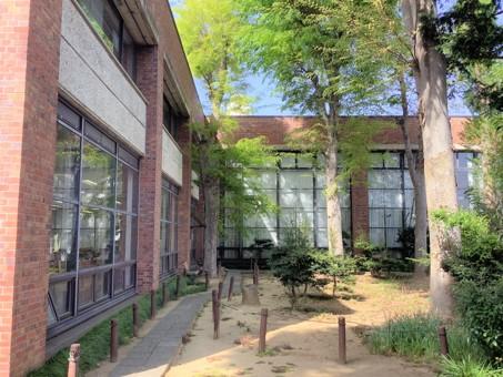 中央図書館の中庭