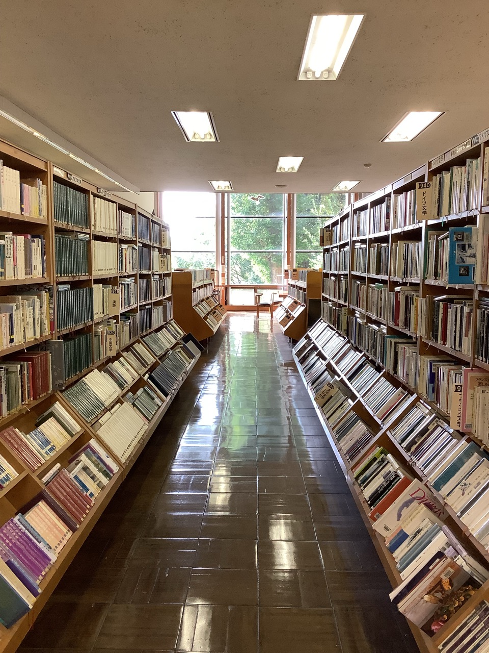 中央図書館1階一般書架側から中庭方面を見たときの写真