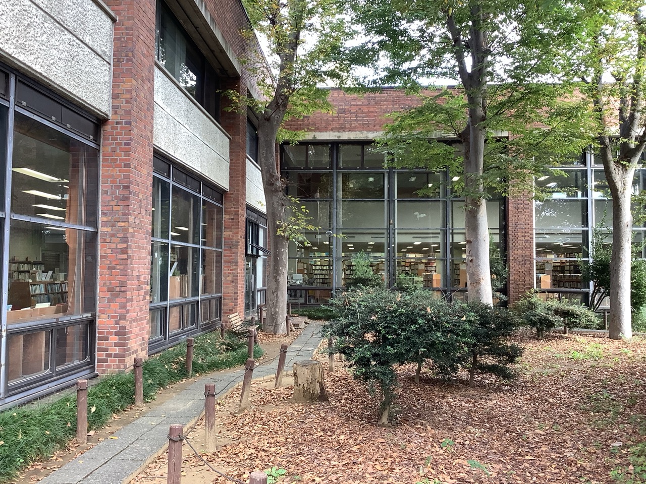 中庭からみた中央図書館の写真