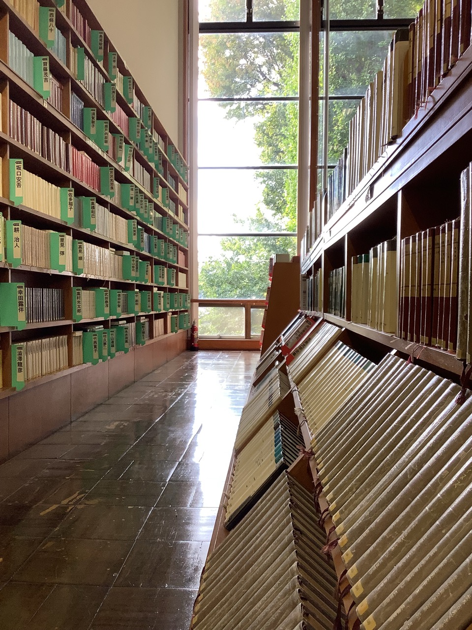 書架の間から中庭方面の写真