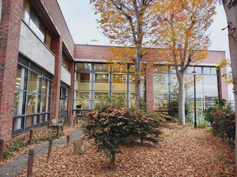 中央図書館の中庭の写真