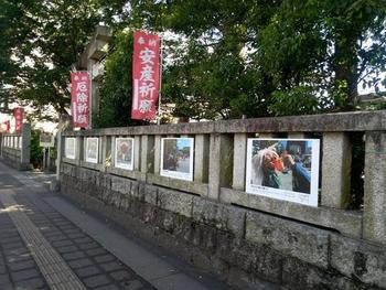 「八坂の祭り写真展」の写真