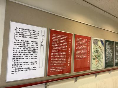 パネル展その２の写真