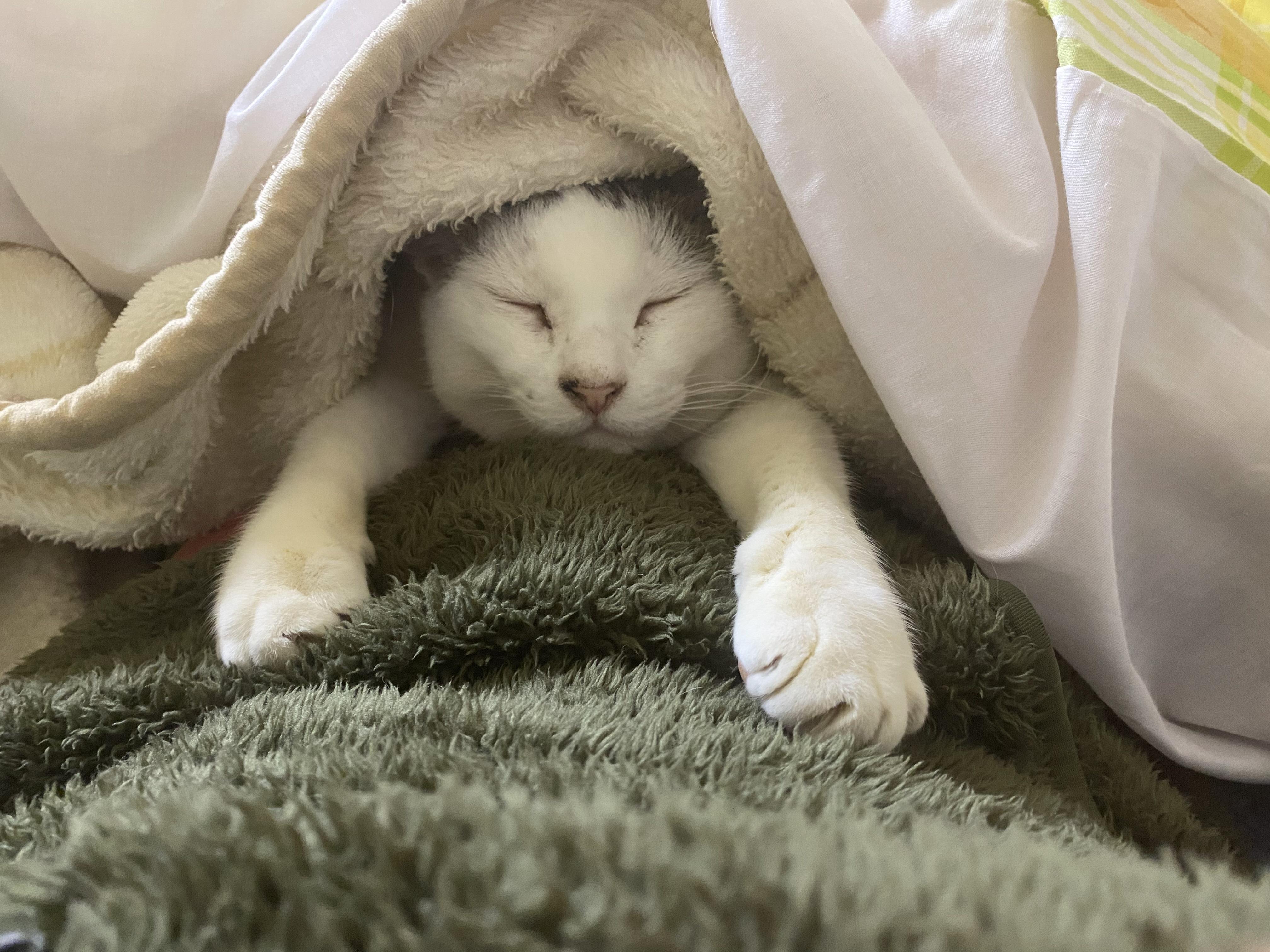 あきの写真
