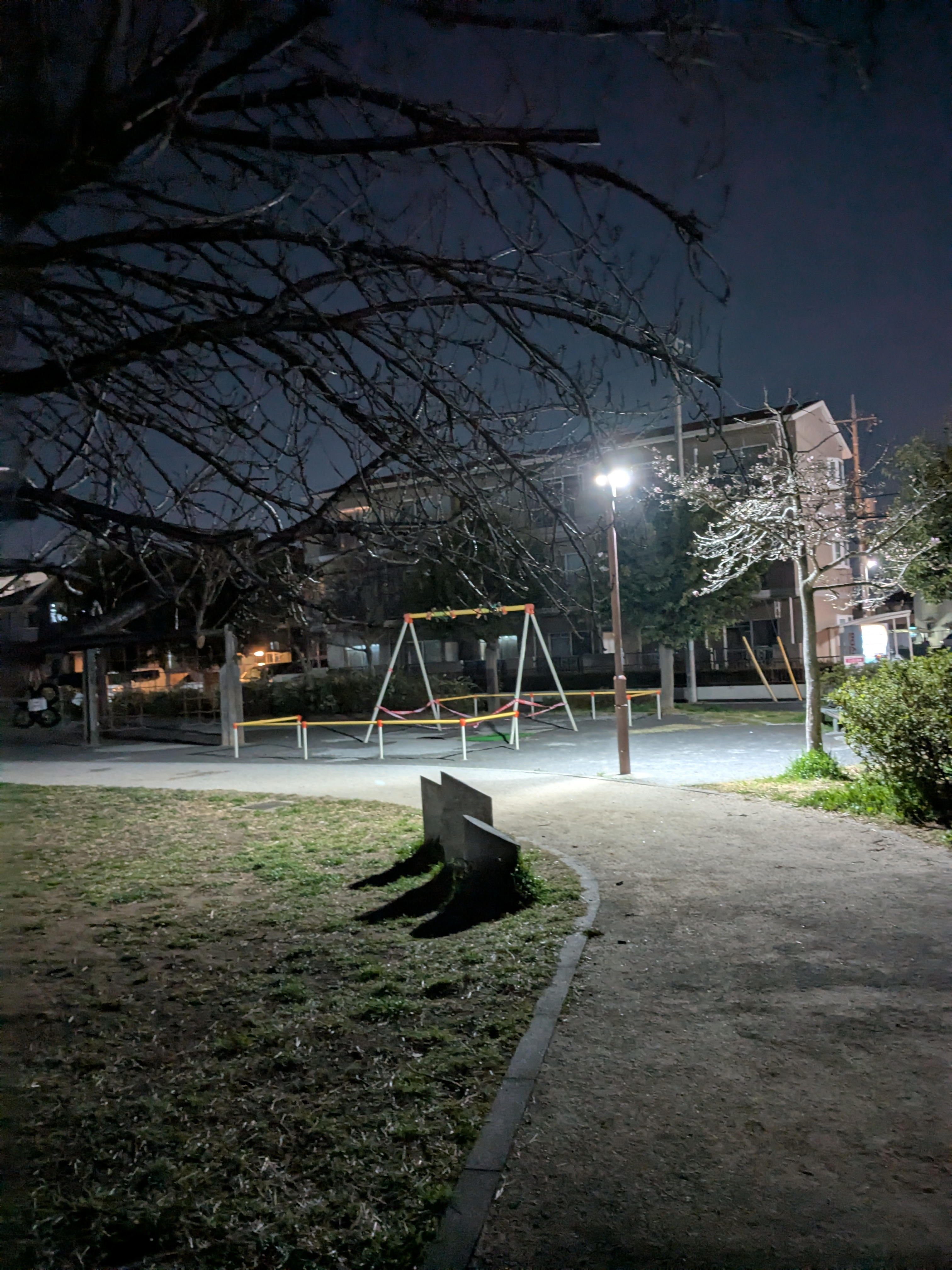 ray（レイ）の写真